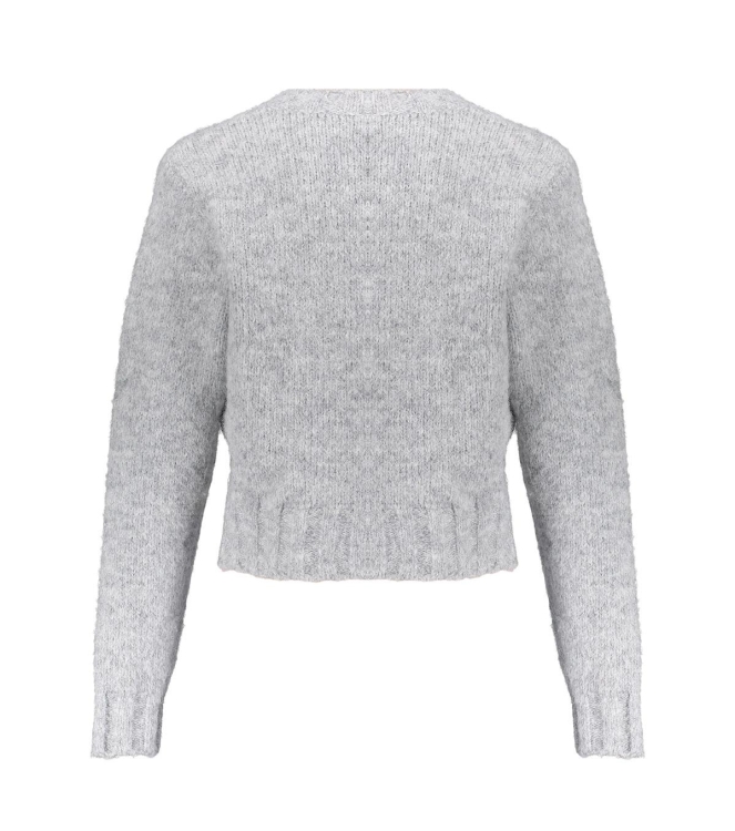 Frankie & Liberty truien & vesten 13.1 Grey Melange FL25701