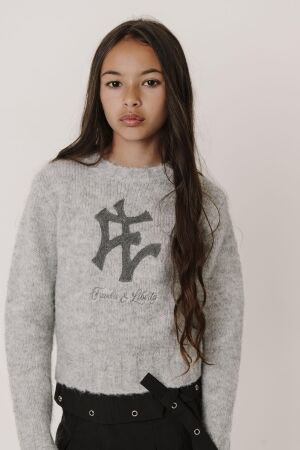 Frankie & Liberty truien & vesten 13.1 Grey Melange FL25701