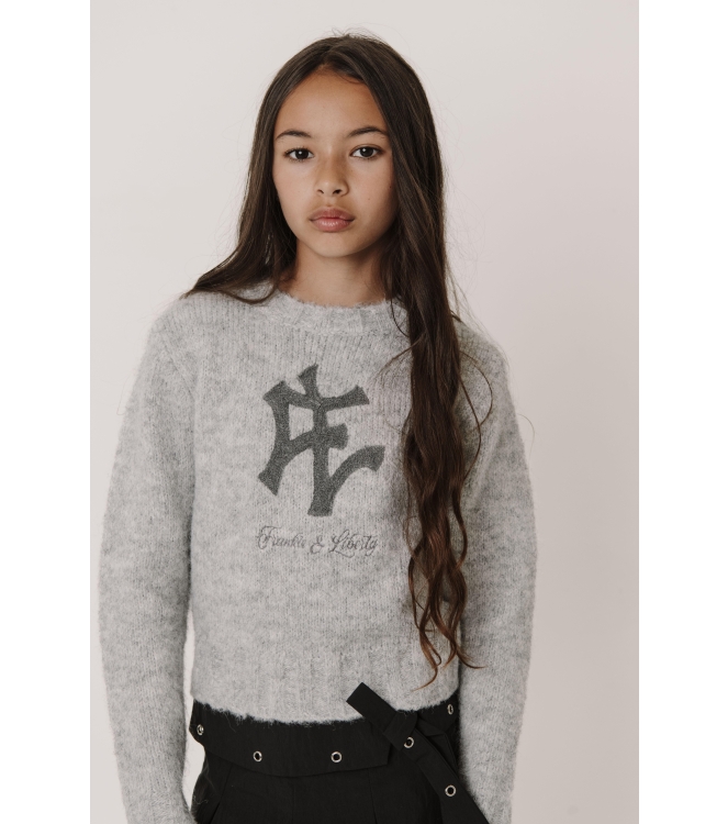 Frankie & Liberty truien & vesten 13.1 Grey Melange FL25701