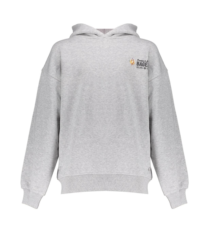 Frankie & Liberty truien & vesten 13.1 Grey Melange FL25703