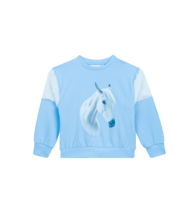 Someone truien & vesten Cloudy Blue SG16.252.58414
