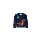 Someone truien Navy SG16.252.58470