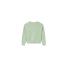 Someone truien Mint SG12.252.58543