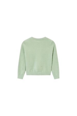 Someone truien & vesten Mint SG12.252.58543