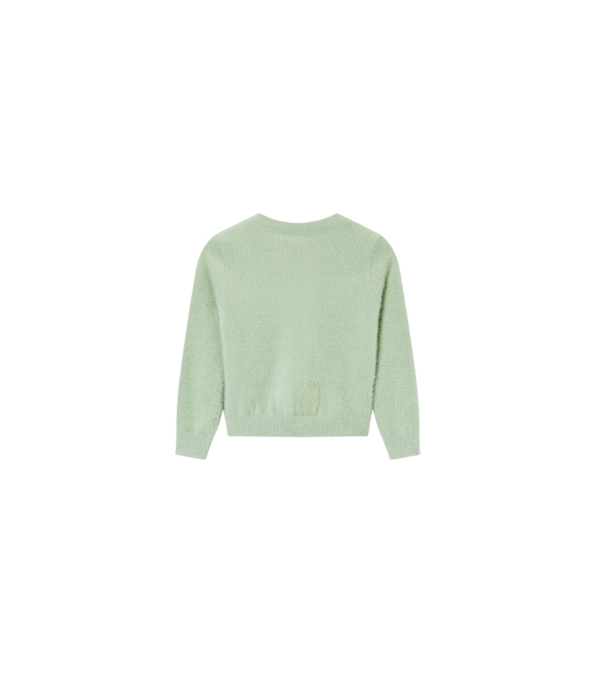 Someone truien & vesten Mint SG12.252.58543