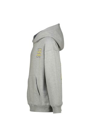 Raizzed truien & vesten 910 Grey Mele R225KB340097-910