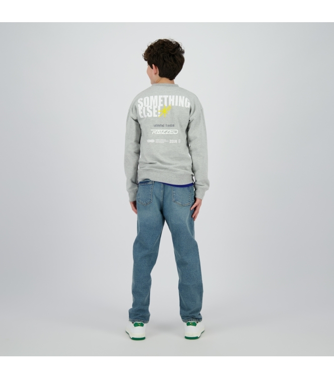 Raizzed truien & vesten 910 Grey Mele R225KB340098-910