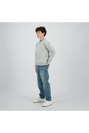 Raizzed truien & vesten 910 Grey Mele R225KB340098-910
