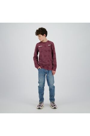 Raizzed truien & vesten 675 Plum red R225KB340102-675