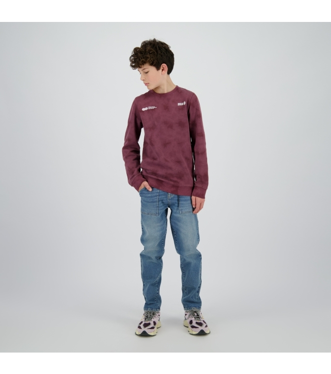 Raizzed truien & vesten 675 Plum red R225KB340102-675