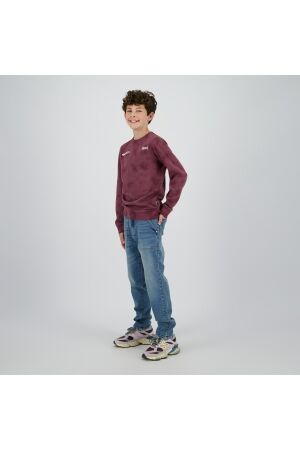 Raizzed truien & vesten 675 Plum red R225KB340102-675