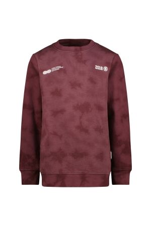 Raizzed truien & vesten 675 Plum red R225KB340102-675