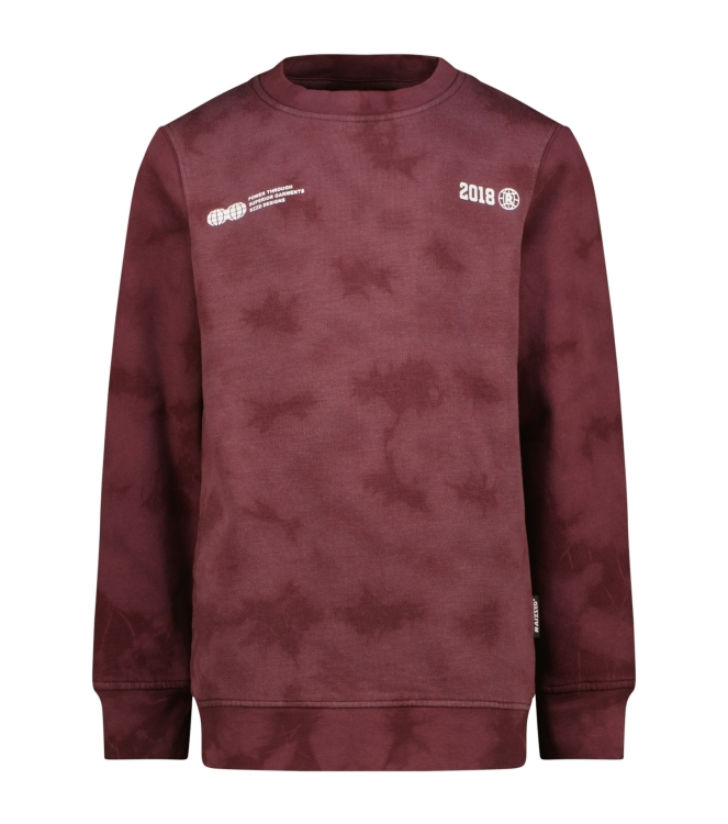Raizzed truien & vesten 675 Plum red R225KB340102-675