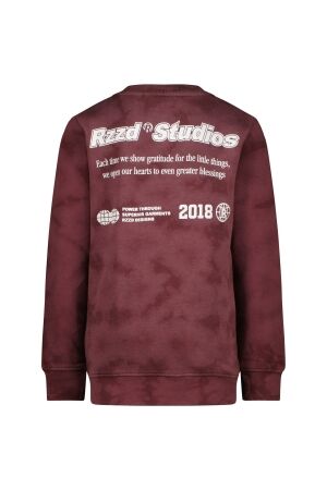 Raizzed truien & vesten 675 Plum red R225KB340102-675