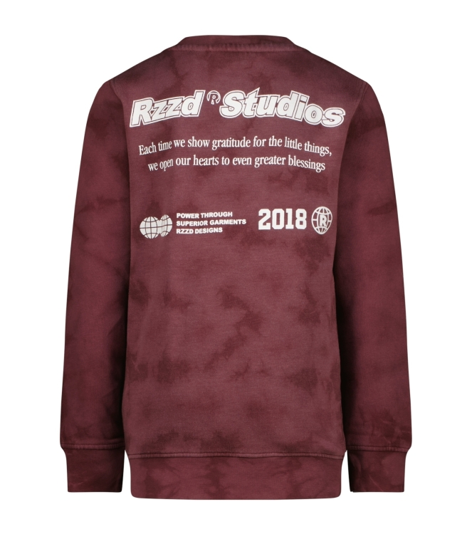 Raizzed truien & vesten 675 Plum red R225KB340102-675