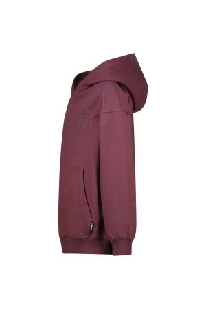 Raizzed truien & vesten 675 Plum red R225KB340104-675