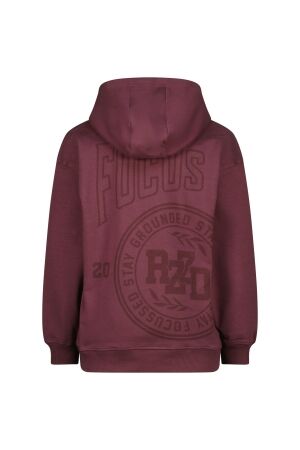 Raizzed truien & vesten 675 Plum red R225KB340104-675