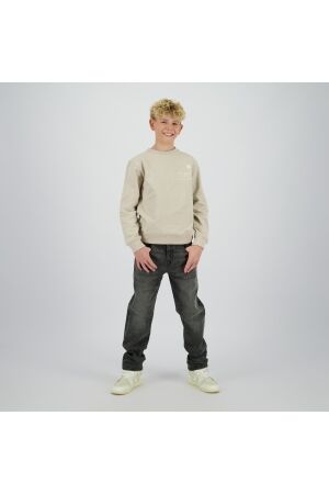 Raizzed truien & vesten 1331 Agate grey R225KB340112-1331