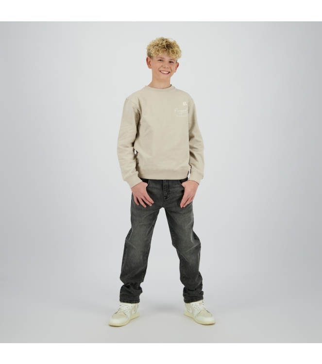 Raizzed truien & vesten 1331 Agate grey R225KB340112-1331