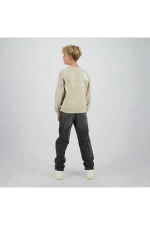 Raizzed truien & vesten 1331 Agate grey R225KB340112-1331