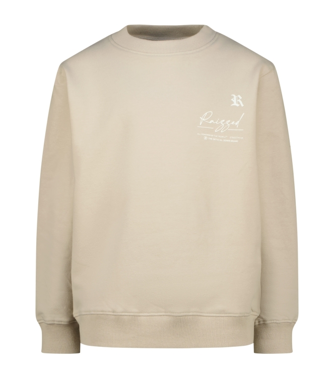 Raizzed truien & vesten 1331 Agate grey R225KB340112-1331