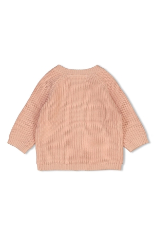 Feetje truien & vesten 150 Roze 51300498