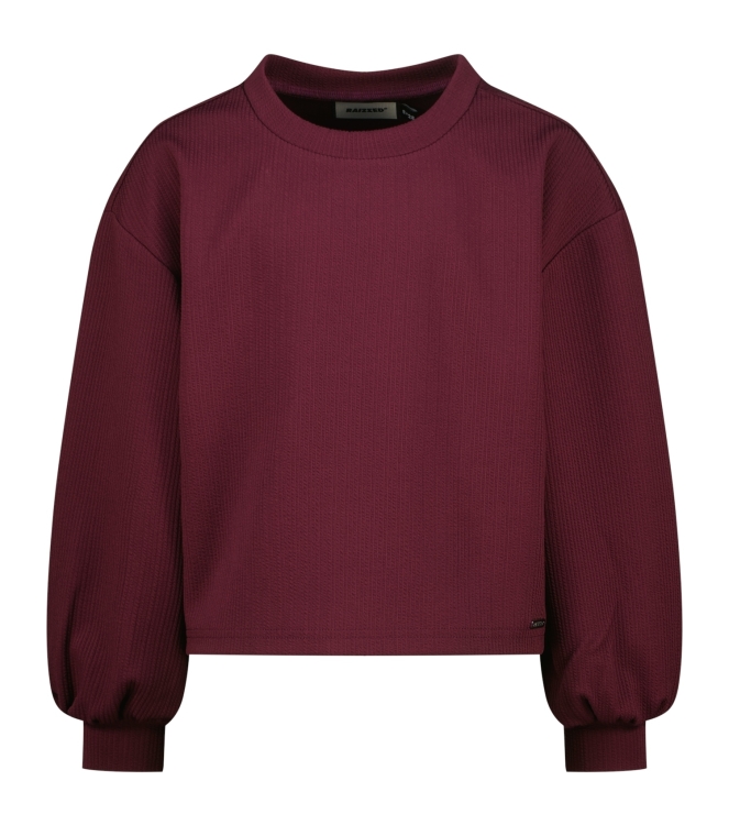 Raizzed shirts 674 Dark grape R225KG300072-674