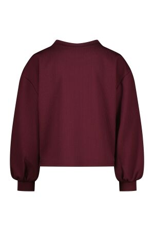 Raizzed shirts 674 Dark grape R225KG300072-674