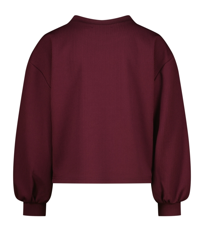 Raizzed shirts 674 Dark grape R225KG300072-674