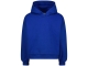Raizzed truien & vesten 1094 Web blue R225KG340050-1094
