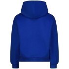 Raizzed truien & vesten 1094 Web blue R225KG340050-1094