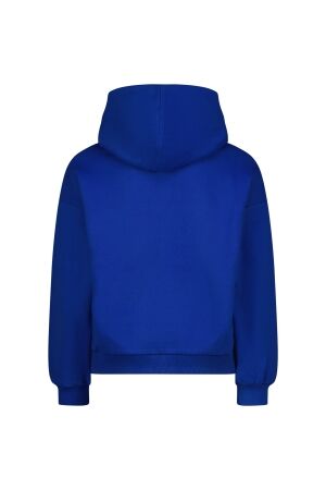 Raizzed truien & vesten 1094 Web blue R225KG340050-1094