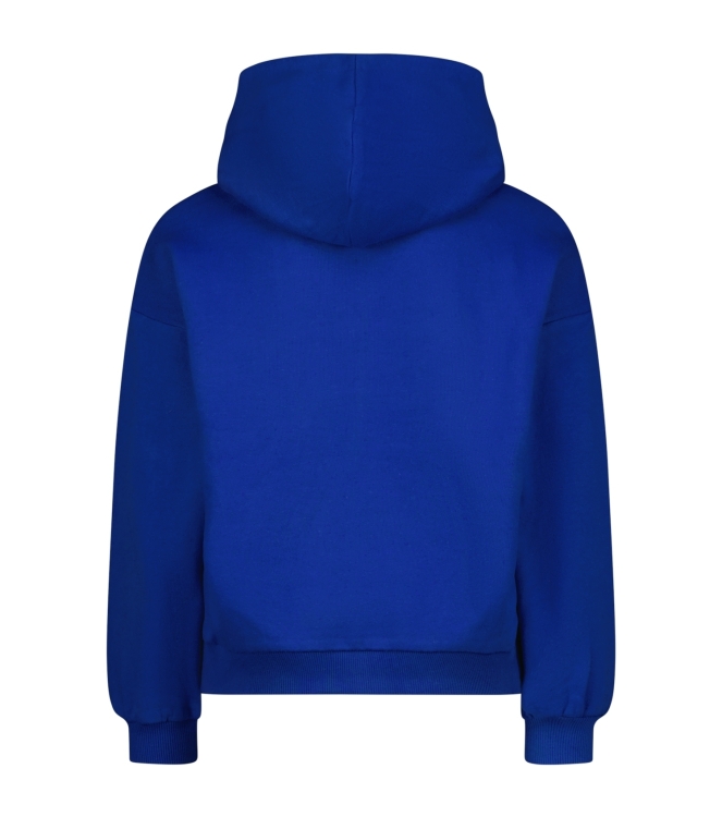 Raizzed truien & vesten 1094 Web blue R225KG340050-1094