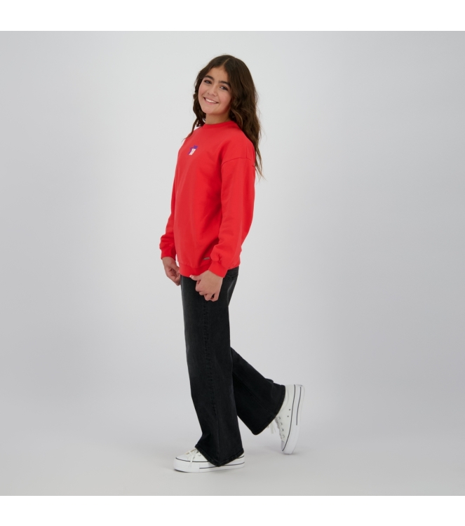 Raizzed truien & vesten 690 Hibiscus R225KG340053-690
