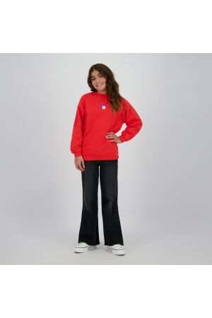 Raizzed truien & vesten 690 Hibiscus R225KG340053-690