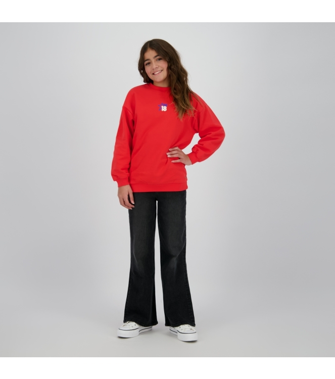 Raizzed truien & vesten 690 Hibiscus R225KG340053-690