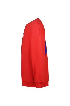 Raizzed truien & vesten 690 Hibiscus R225KG340053-690