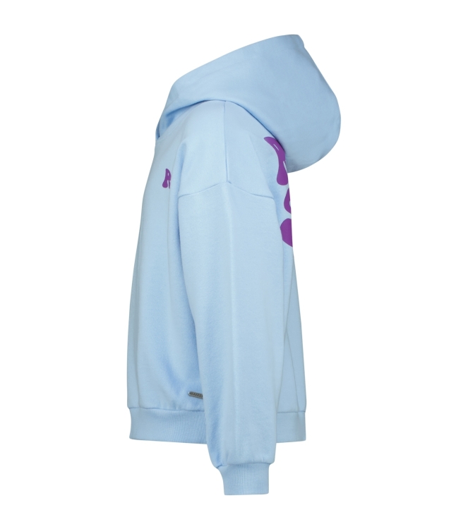 Raizzed truien & vesten 125 Dutch blue R225KG340060-125