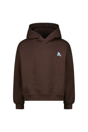 Raizzed truien & vesten 1313 Deep brown R225KG340060-1313