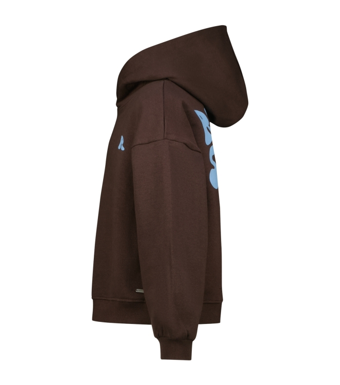 Raizzed truien & vesten 1313 Deep brown R225KG340060-1313