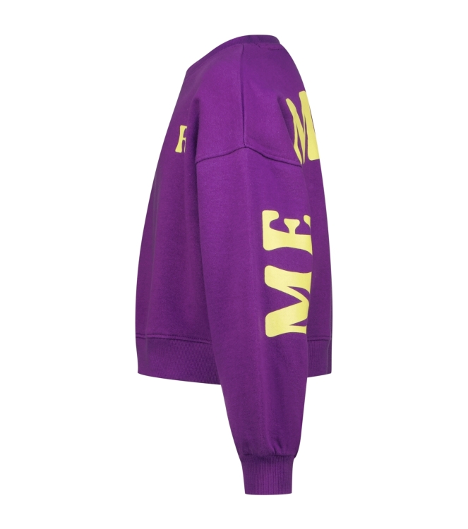 Raizzed truien & vesten 875 Advent purple R225KG340063-875