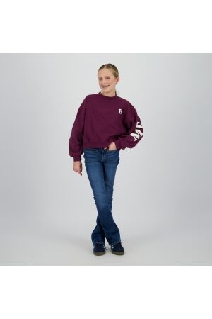 Raizzed truien & vesten 674 Dark grape R225KG340074-674