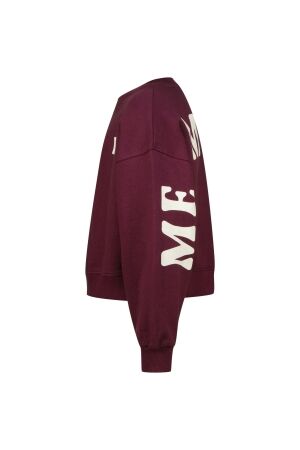 Raizzed truien & vesten 674 Dark grape R225KG340074-674