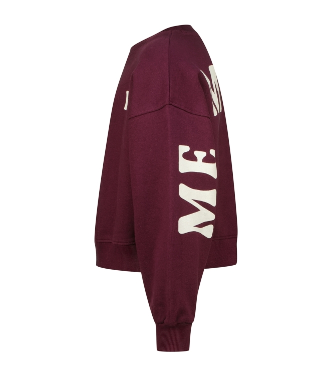 Raizzed truien & vesten 674 Dark grape R225KG340074-674