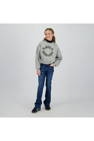 Raizzed Sifra Sweater 910 Grey Mele