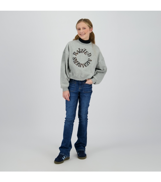 Raizzed truien & vesten 910 Grey Mele R225KG340075-910