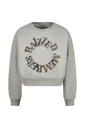 Raizzed truien & vesten 910 Grey Mele R225KG340075-910
