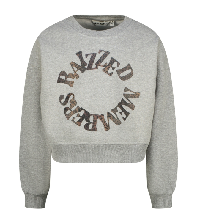Raizzed truien & vesten 910 Grey Mele R225KG340075-910