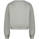 Raizzed truien & vesten 910 Grey Mele R225KG340075-910