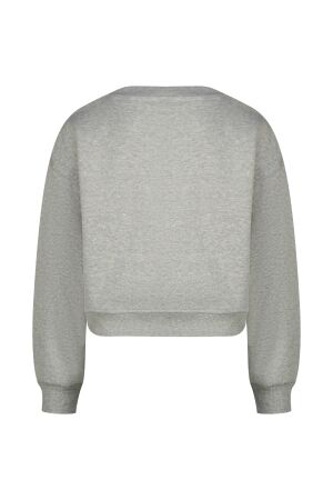Raizzed truien & vesten 910 Grey Mele R225KG340075-910